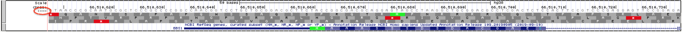 Once you change the base position track to **Full**, the three possible reading frames for a *single* DNA strand will be displayed. When the arrow points to the right, the three reading frames will be of the plus-strand (top image). Notice the start codon in green matches the start codon in the third reading frame (**NOTE: This image comes from the 2013 genome assembly and will look different for you.**) In fact, nearly all of the amino acids in exon one match the amino acids in the third reading frame. We expect one of the three plus-strand reading frames to match *BBS1* since BBS1 is a plus-strand gene. Now , however, when the arrow points to the left (circled in red), the three reading frames displayed are for the minus-strand (bottom image). Now *none* of the amino acids in the three reading frames match the amino acids found in *BBS1*.