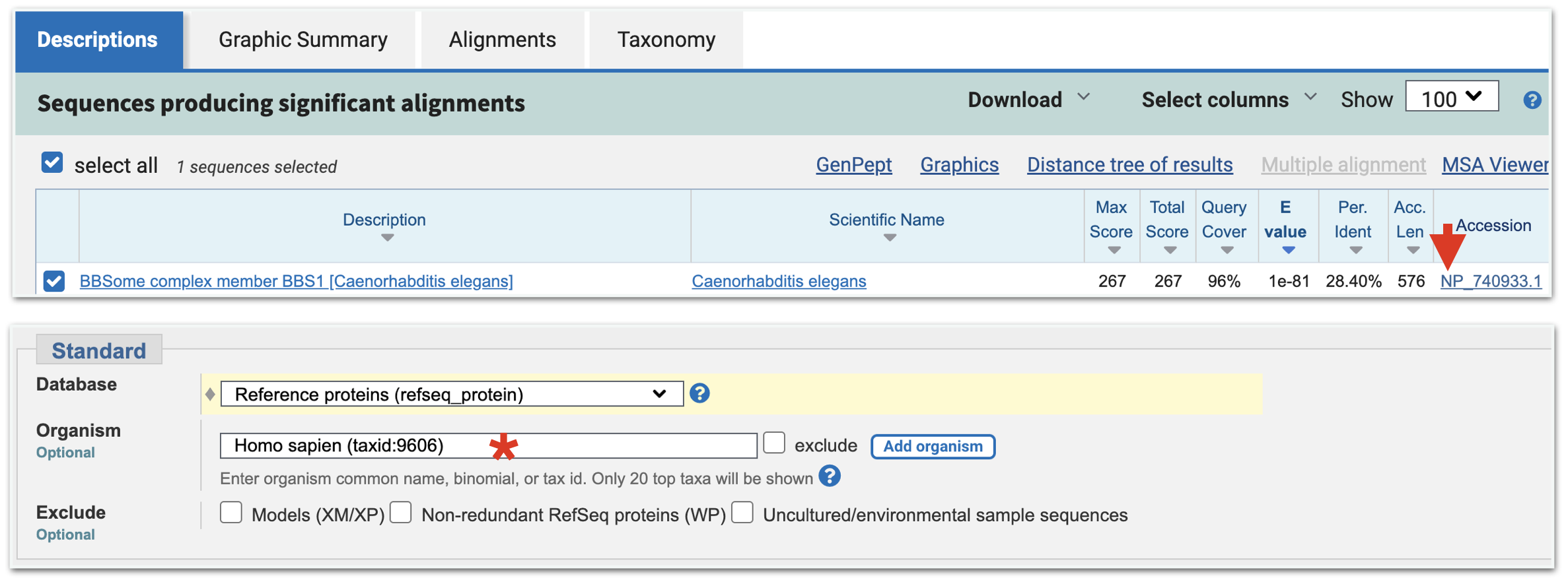From your BLAST results page for your first BLASTP, click on the Protein Accession ID (top image, red arrow). This will take you to the protein information page for the worm best hit. Click on **Run BLAST** as before. At the BLASTP submission page, change the Organism to **Homo Sapiens** (bottom image, asterix).